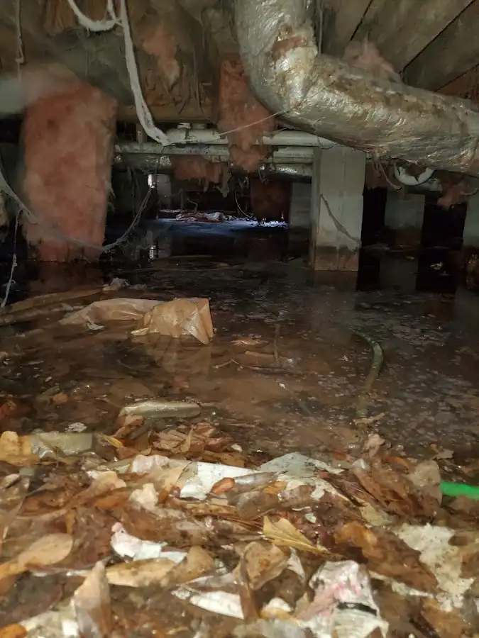 Crawl space flood assessment for Commercial Water Damage Restoration in San Buenaventura (Ventura)